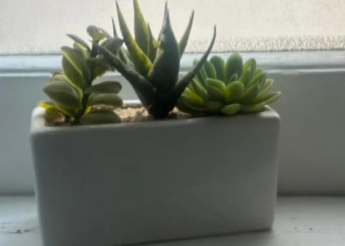 84 A Pochi Minuti Dalla Stazione 3* サレルノ